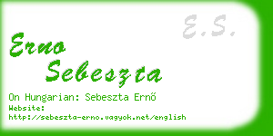 erno sebeszta business card